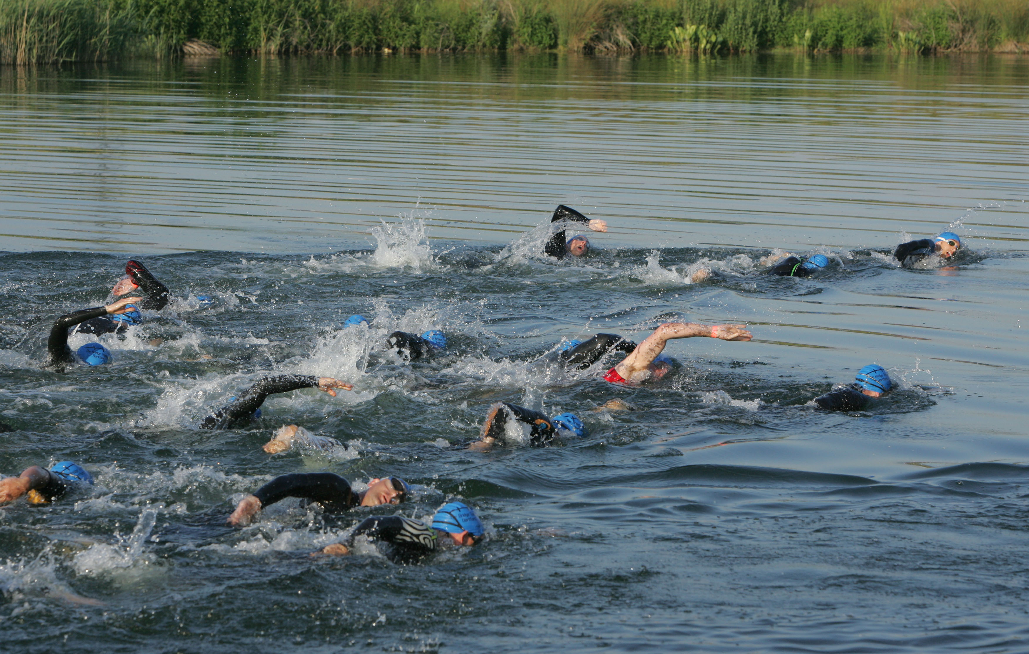 Image result for open water swimming in dartford